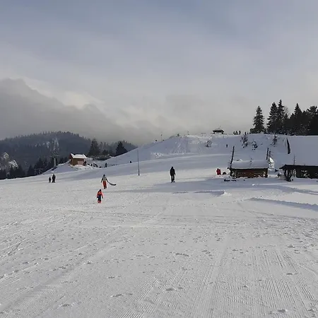 Karpatka