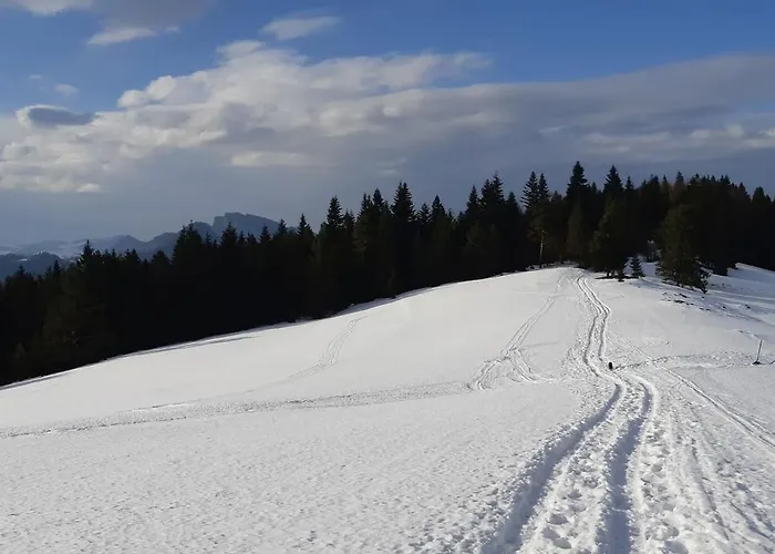 Karpatka アパート