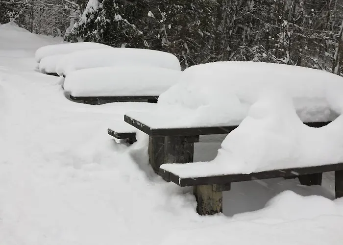 Karpatka アパート *